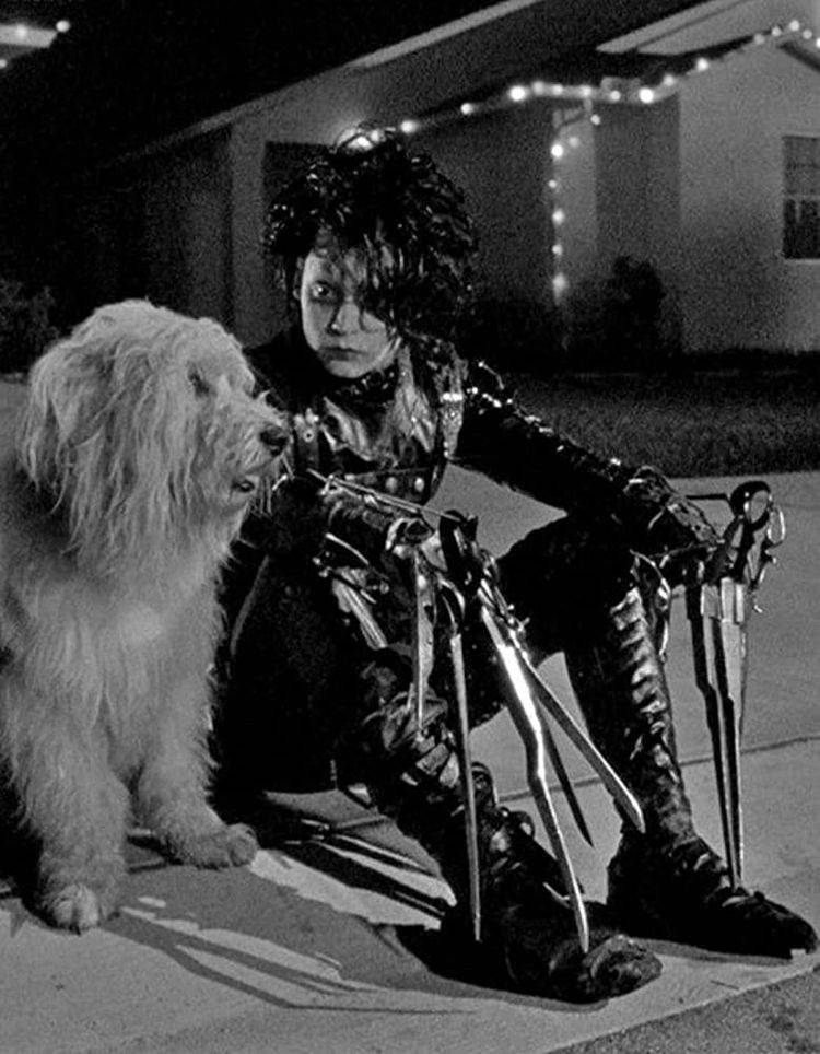 Edward Scissorhands With A Dog Background