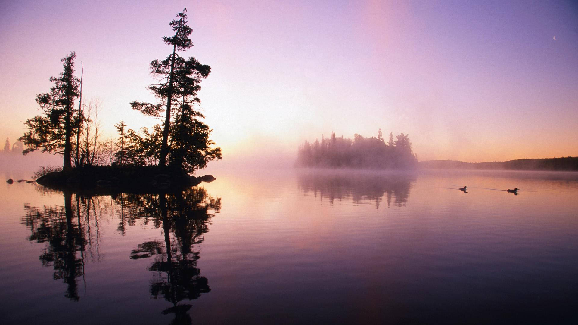 Eerie Minnesota Forest Lake Background