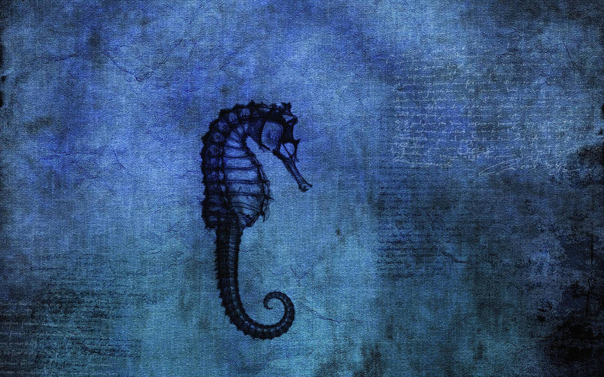 Eerie Seahorse Illustration Background