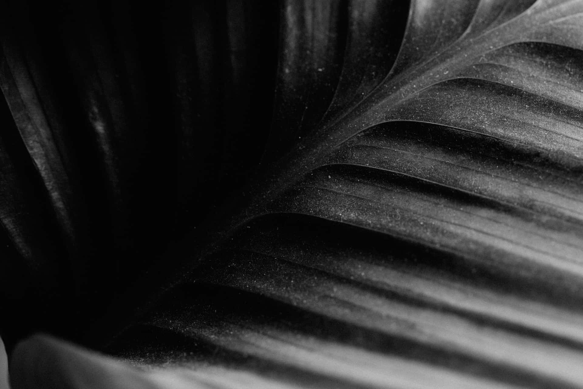 Effective Leaf Zoomed In [wallpaper] Background