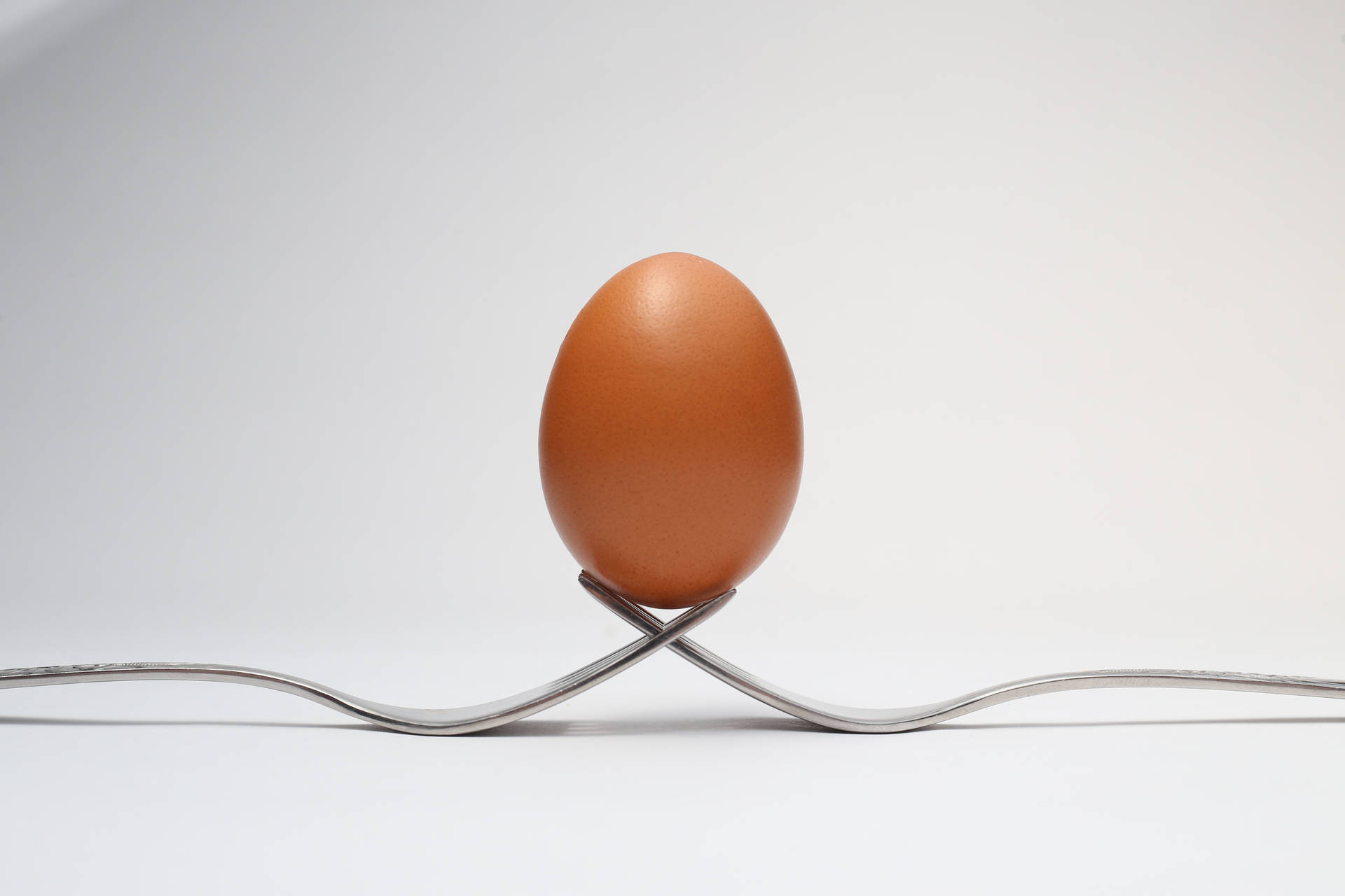 Egg Balanced On Forks