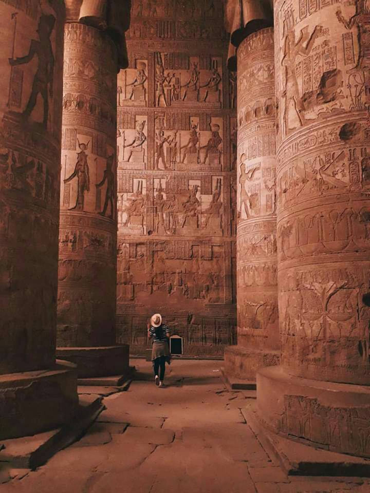 Egypt Temple Tourist Background