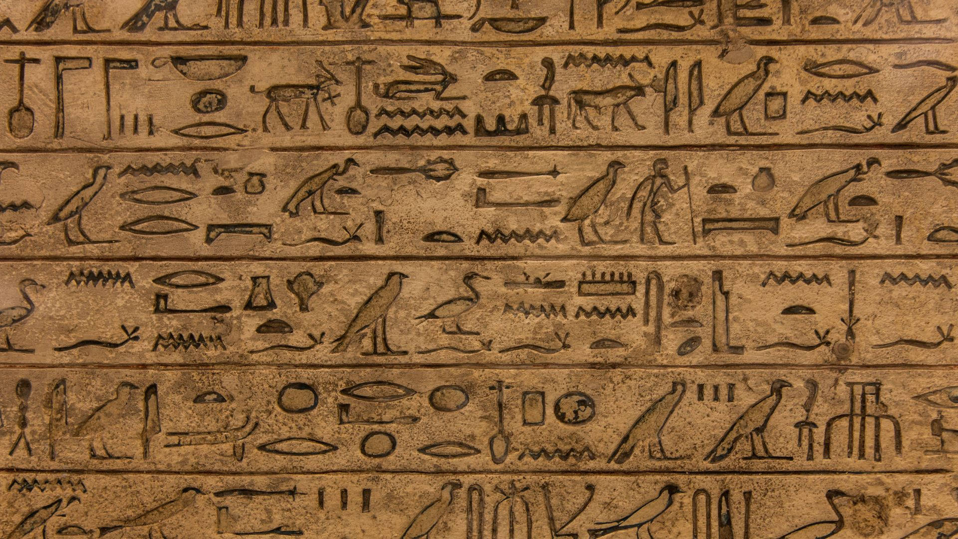Egyptian Hieroglyphic Writing Background