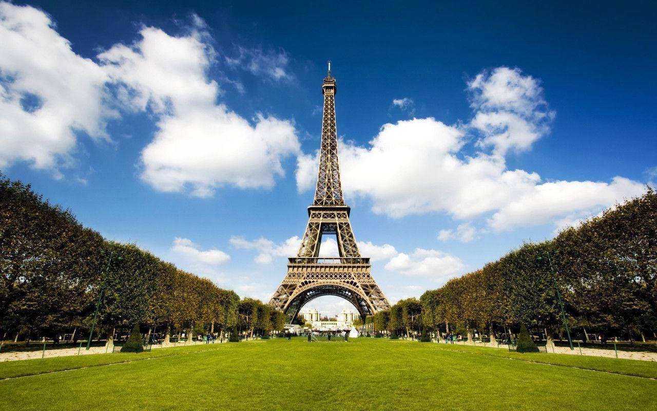 Eiffel Tower And Grassy Land