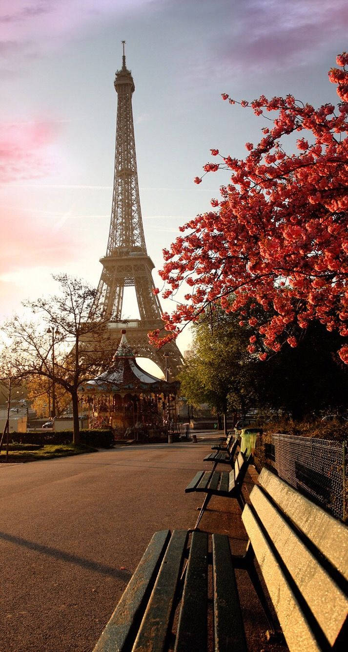 Eiffel Tower Fall Iphone Background