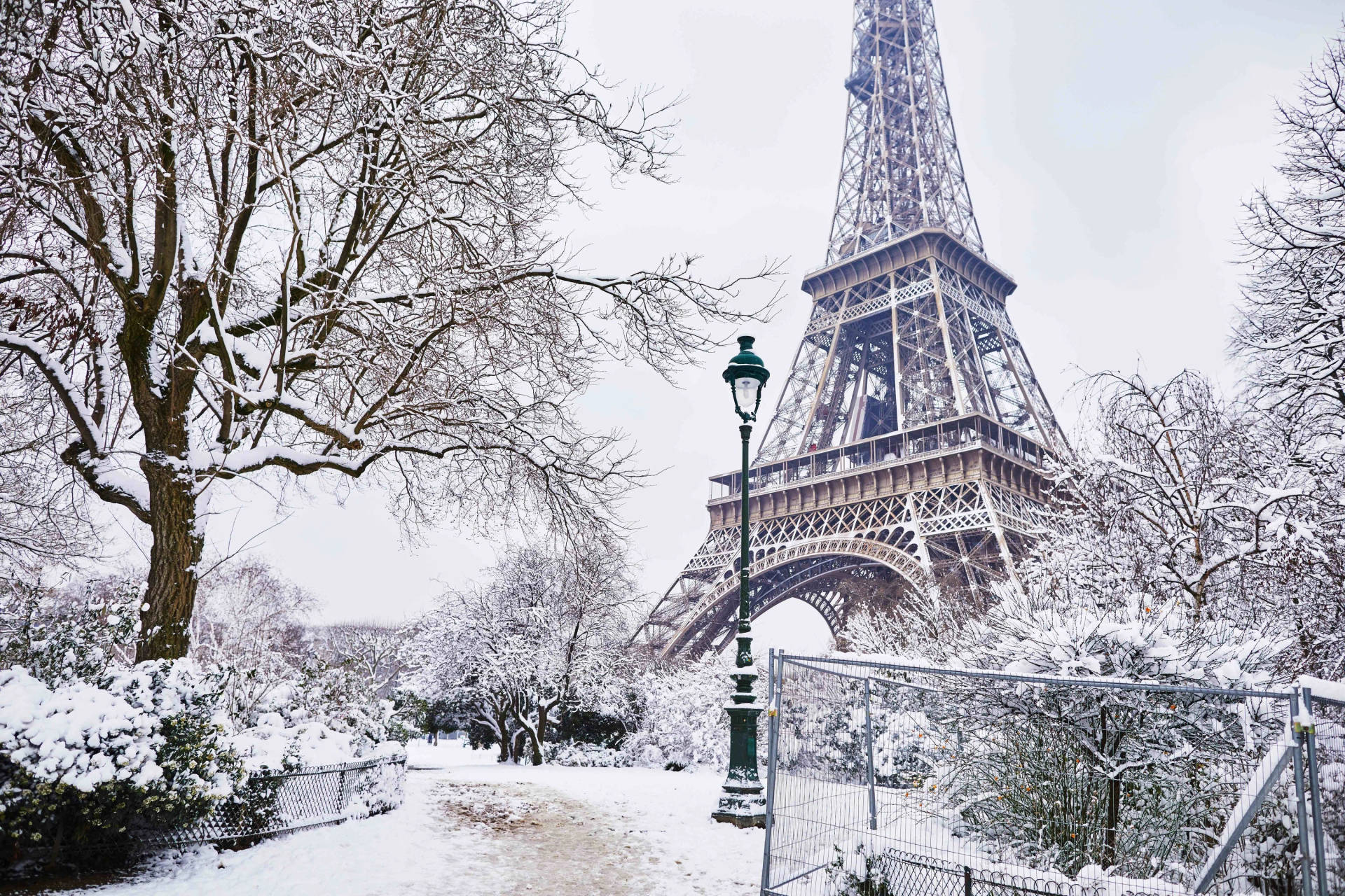 Eiffel Tower In Cold Winter Background