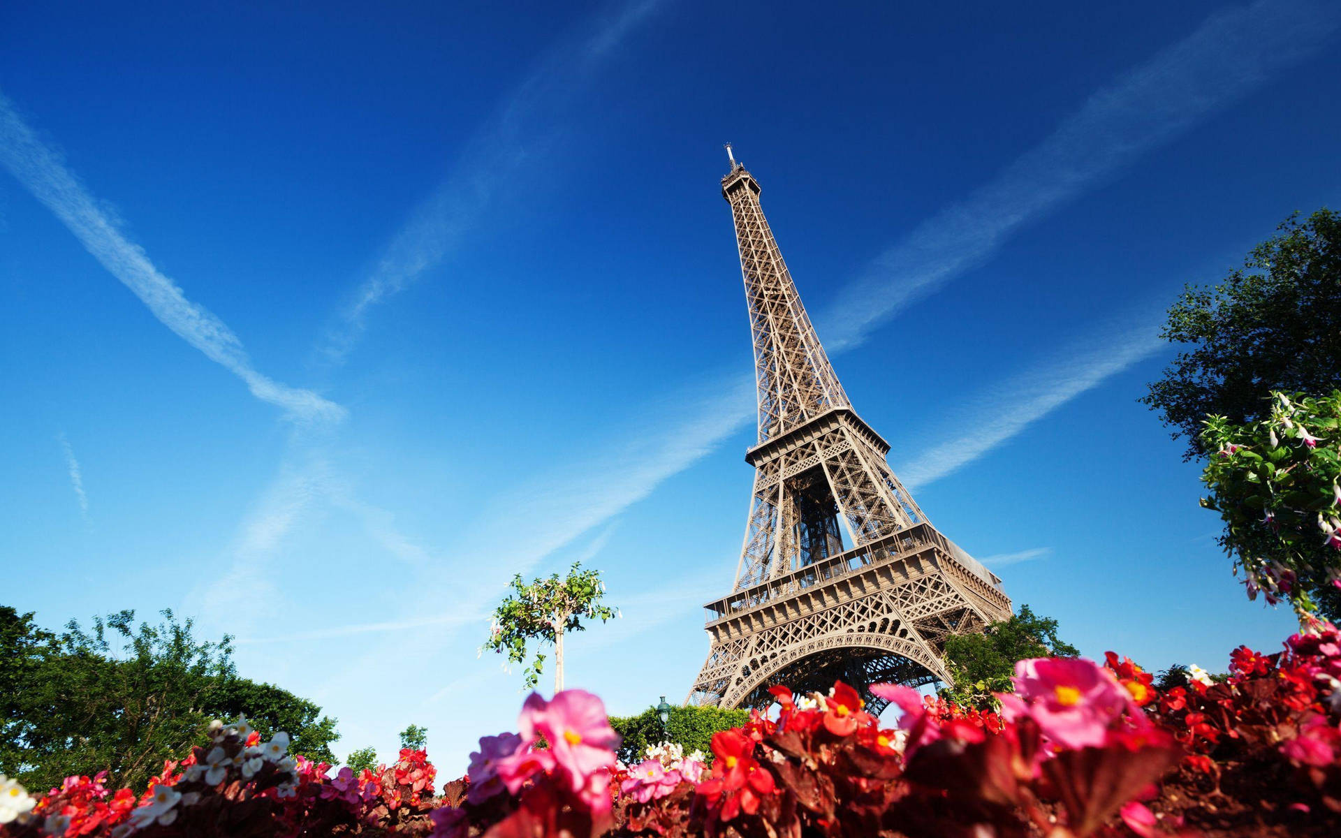 Eiffel Tower With Red Flowers Background