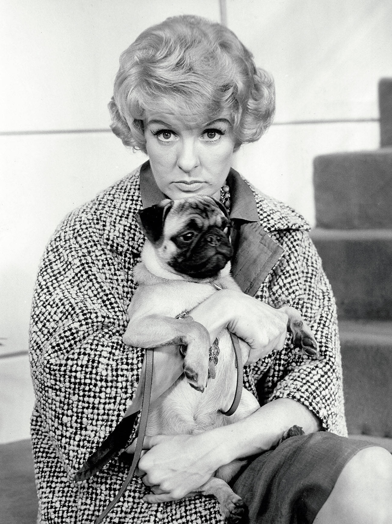 Elaine Stritch Vintage Portrait With A Dog