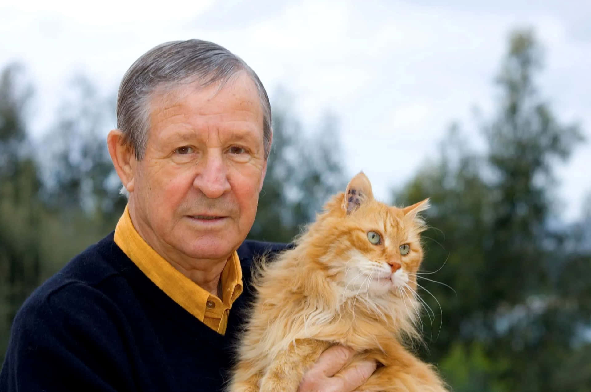Elderly Manwith Orange Cat Background