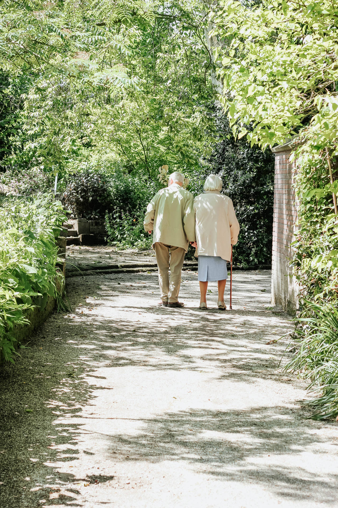 Elderly Woman Walking Together Background