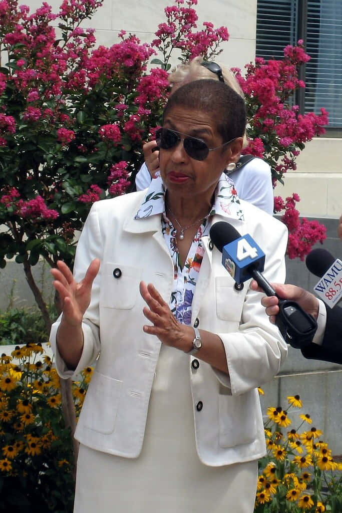 Eleanor Holmes Norton Engaging In A Speech Background