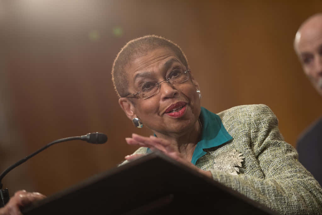 Eleanor Holmes Norton Photographed During Her Speech Background