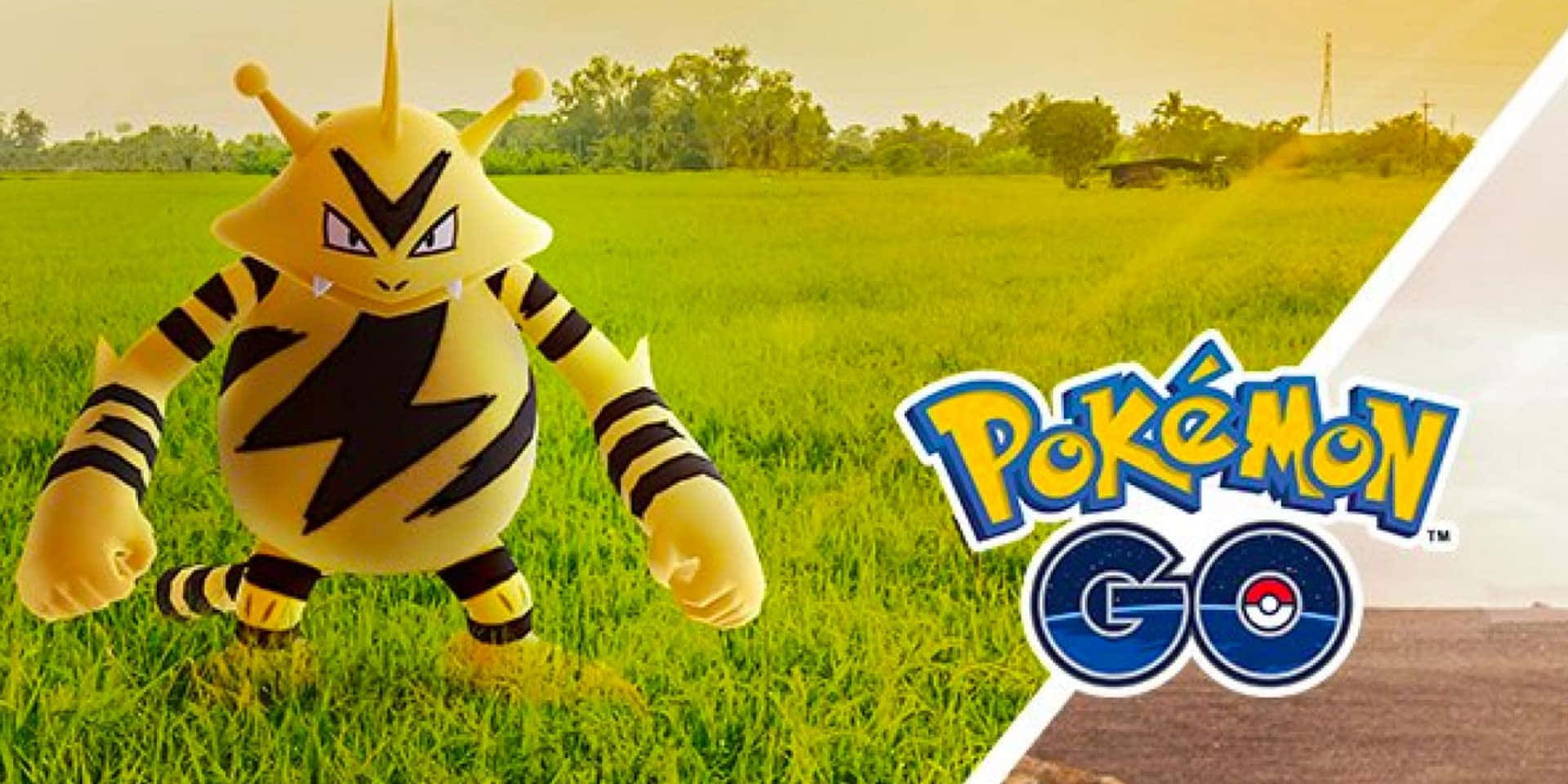 Electabuzz In Pokemon Go Background