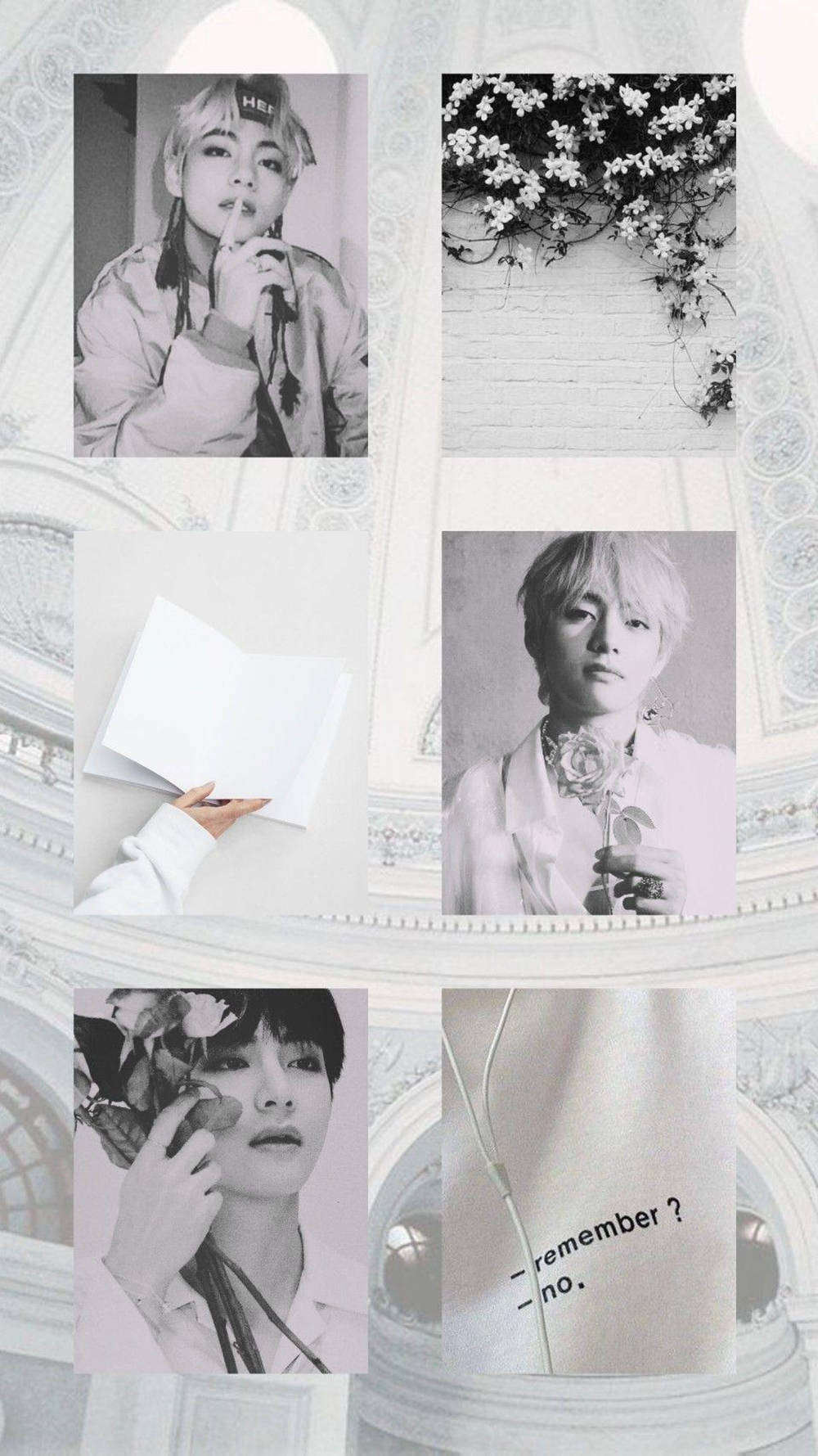 Elegance In Monochrome - Kim Taehyung Aesthetic. Background