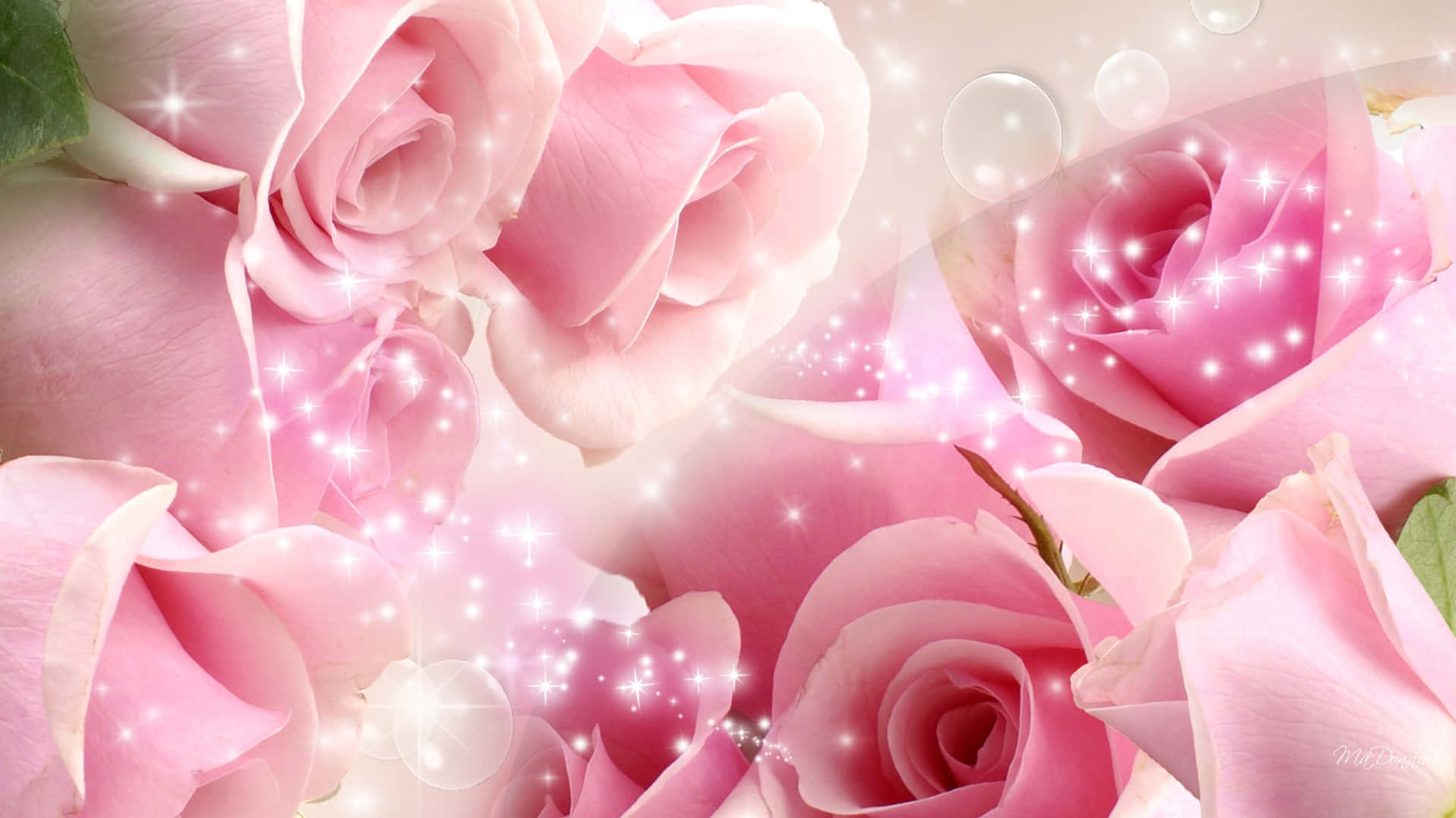 Elegant And Vibrant Red Rose Background