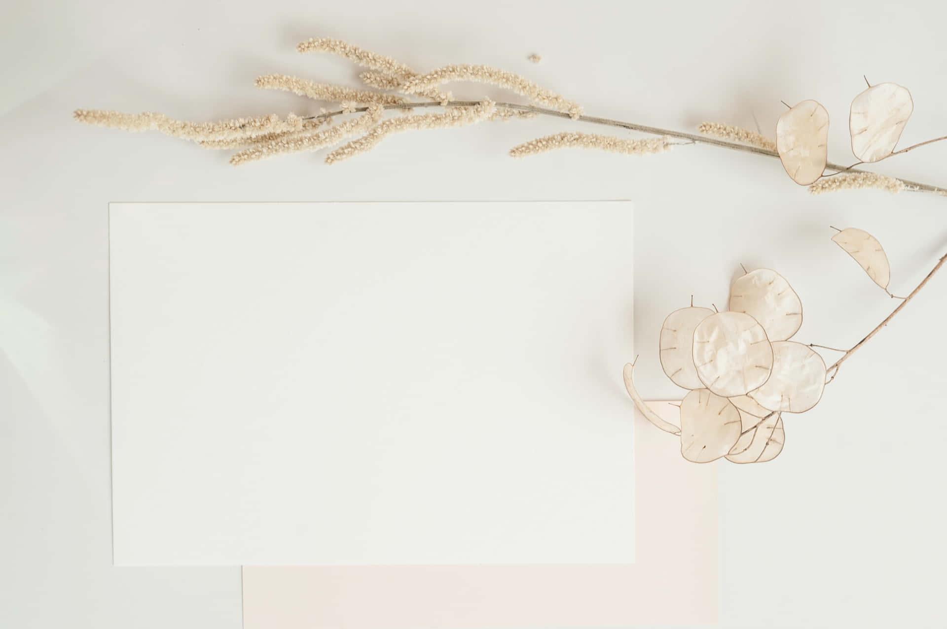 Elegant Blank Wedding Frame Background
