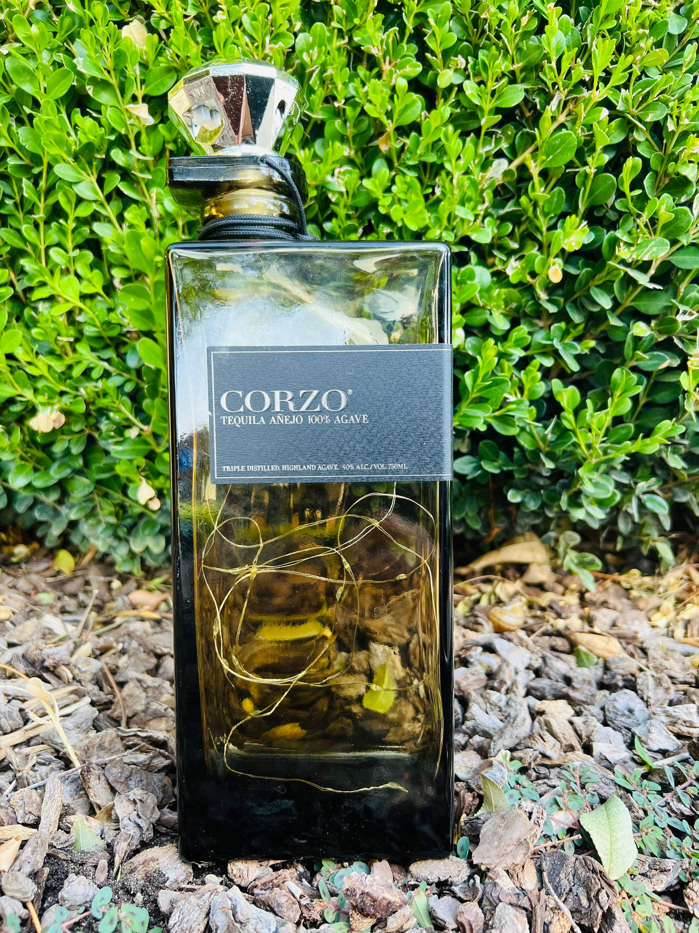 Elegant Bottle Of Corzo Anejo Tequila Background