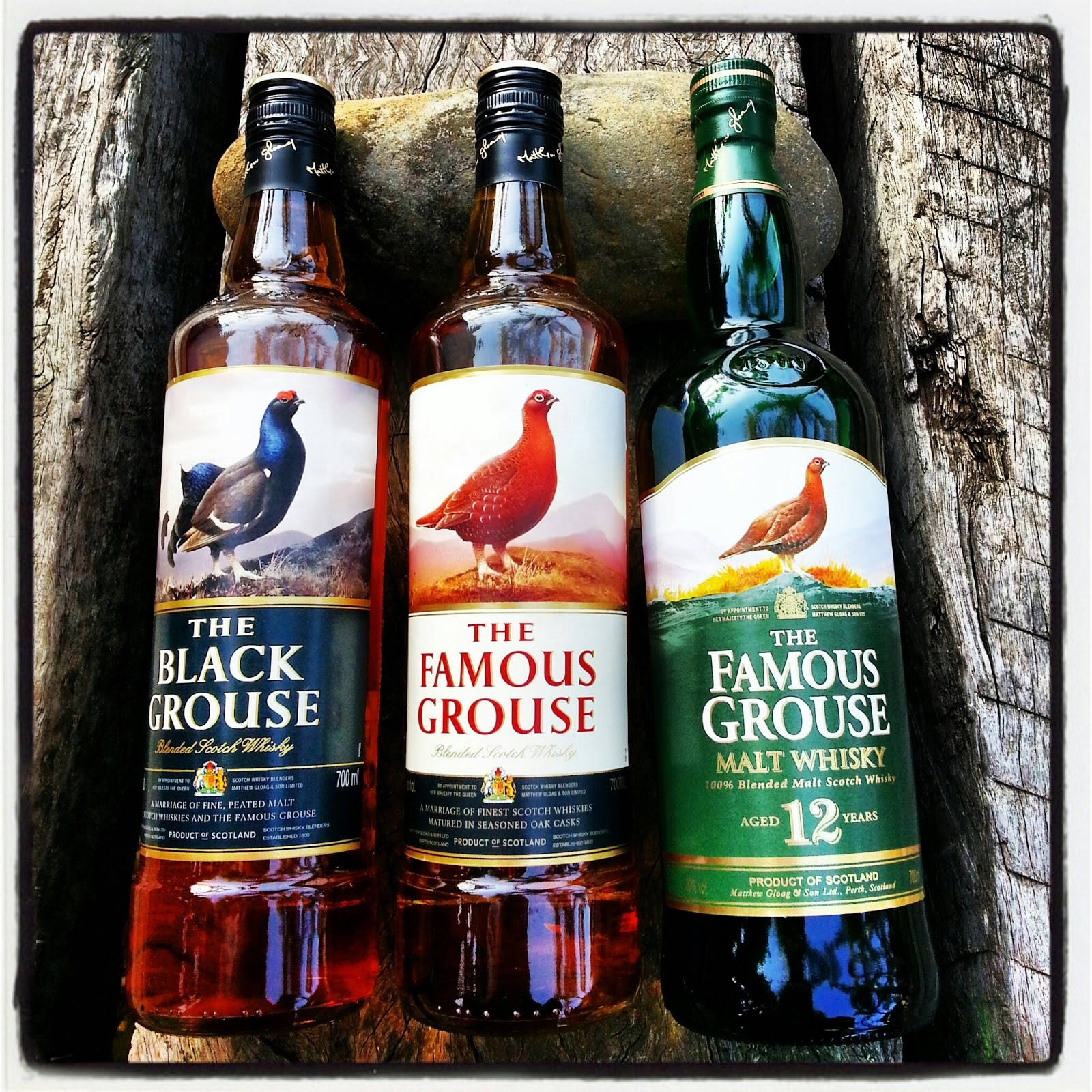 Elegant Bottle Of Famous Grouse Black Grouse 12 Years Malt Whisky Background