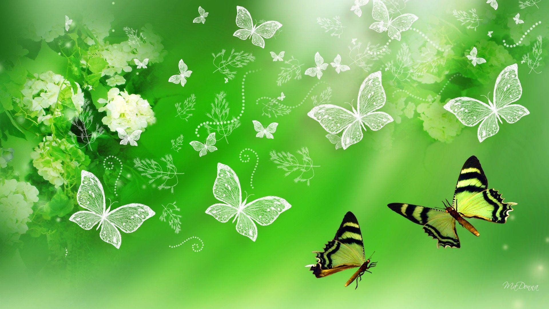 Elegant Butterfly Aesthetic Background