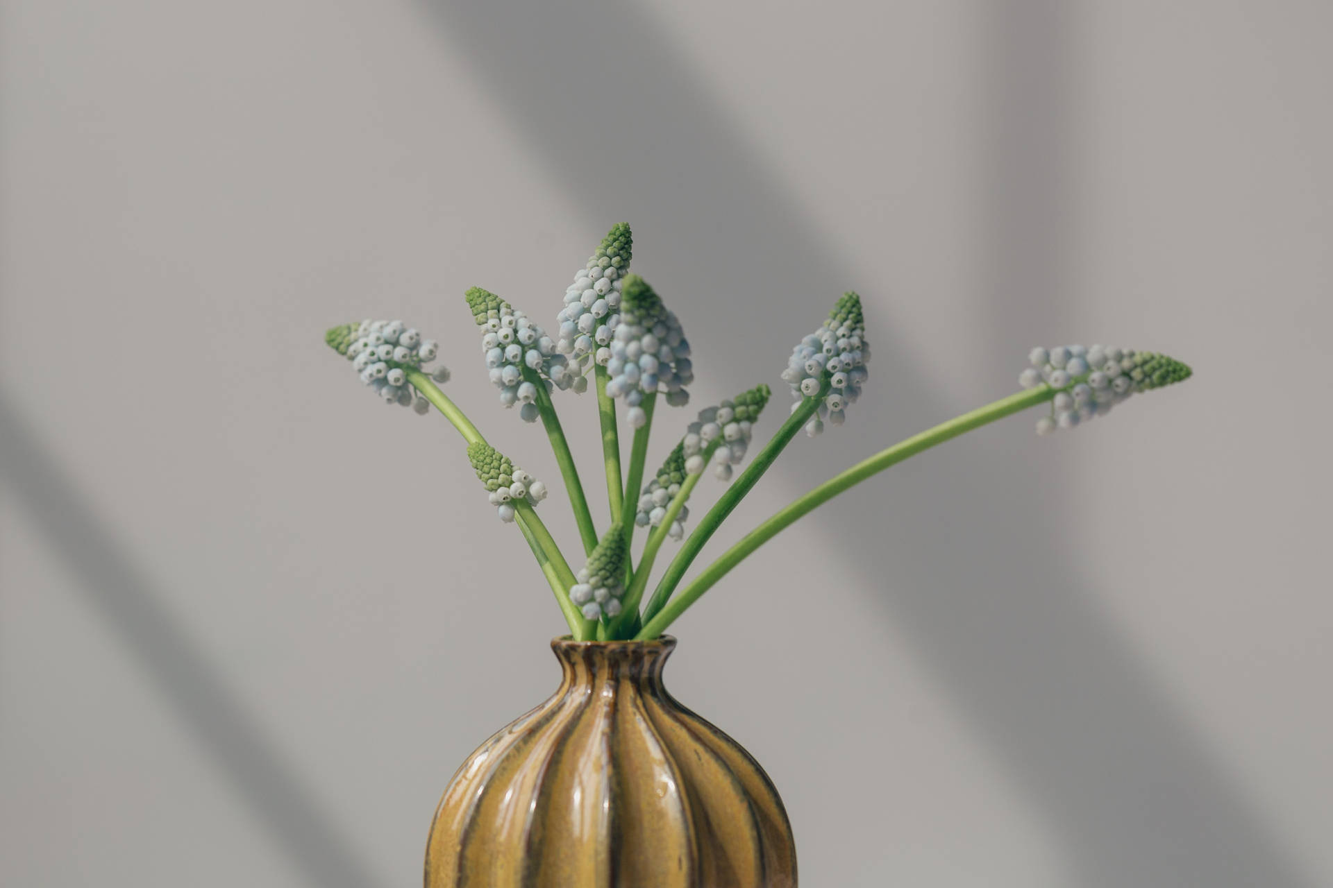 Elegant Ceramic Vase With Grape Hyacinths