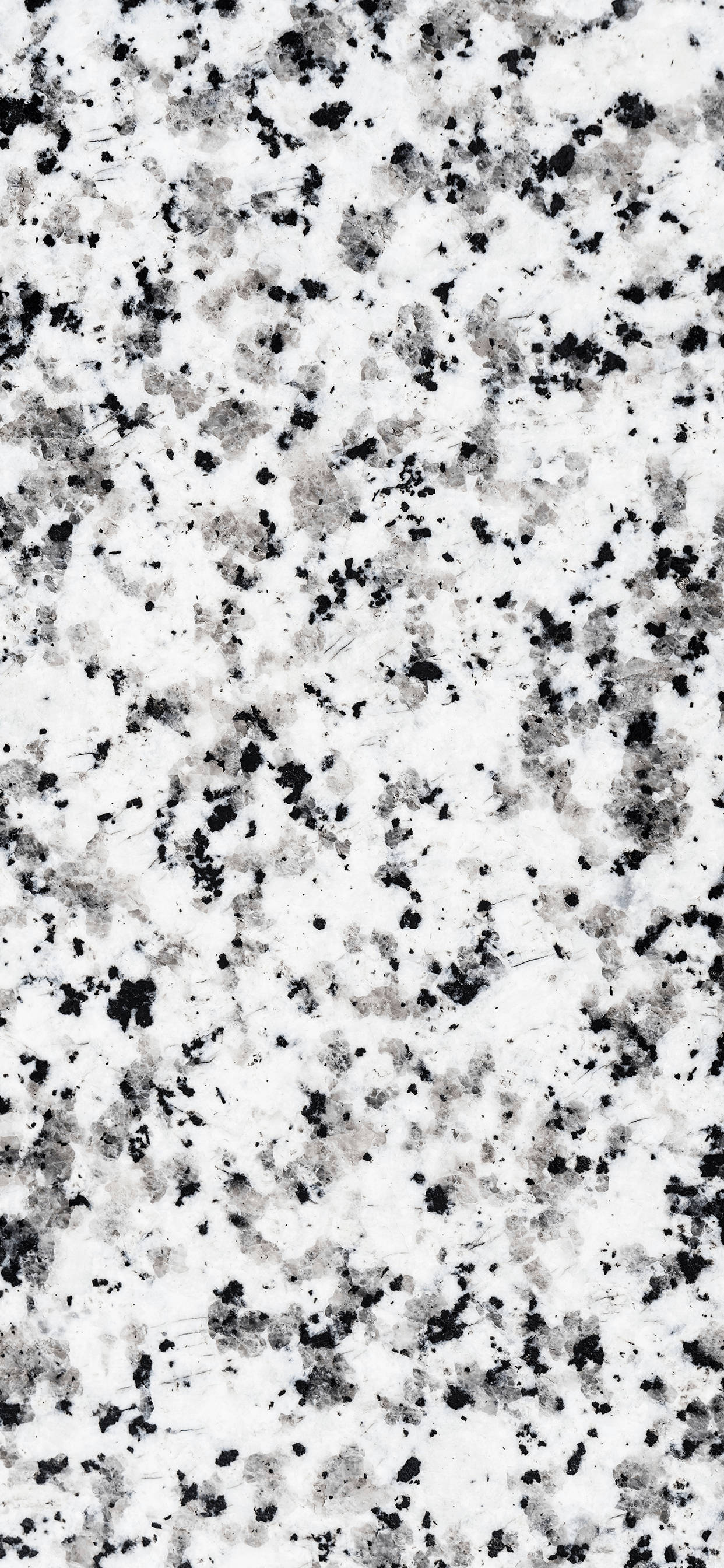 Elegant Dalmatian Black And White Marble Iphone Wallpaper Background