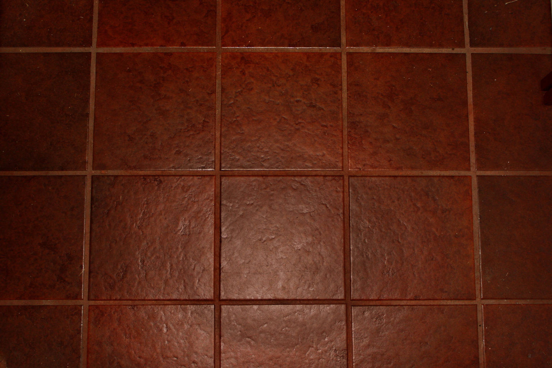 Elegant Dark Red-brown Floor Tiles