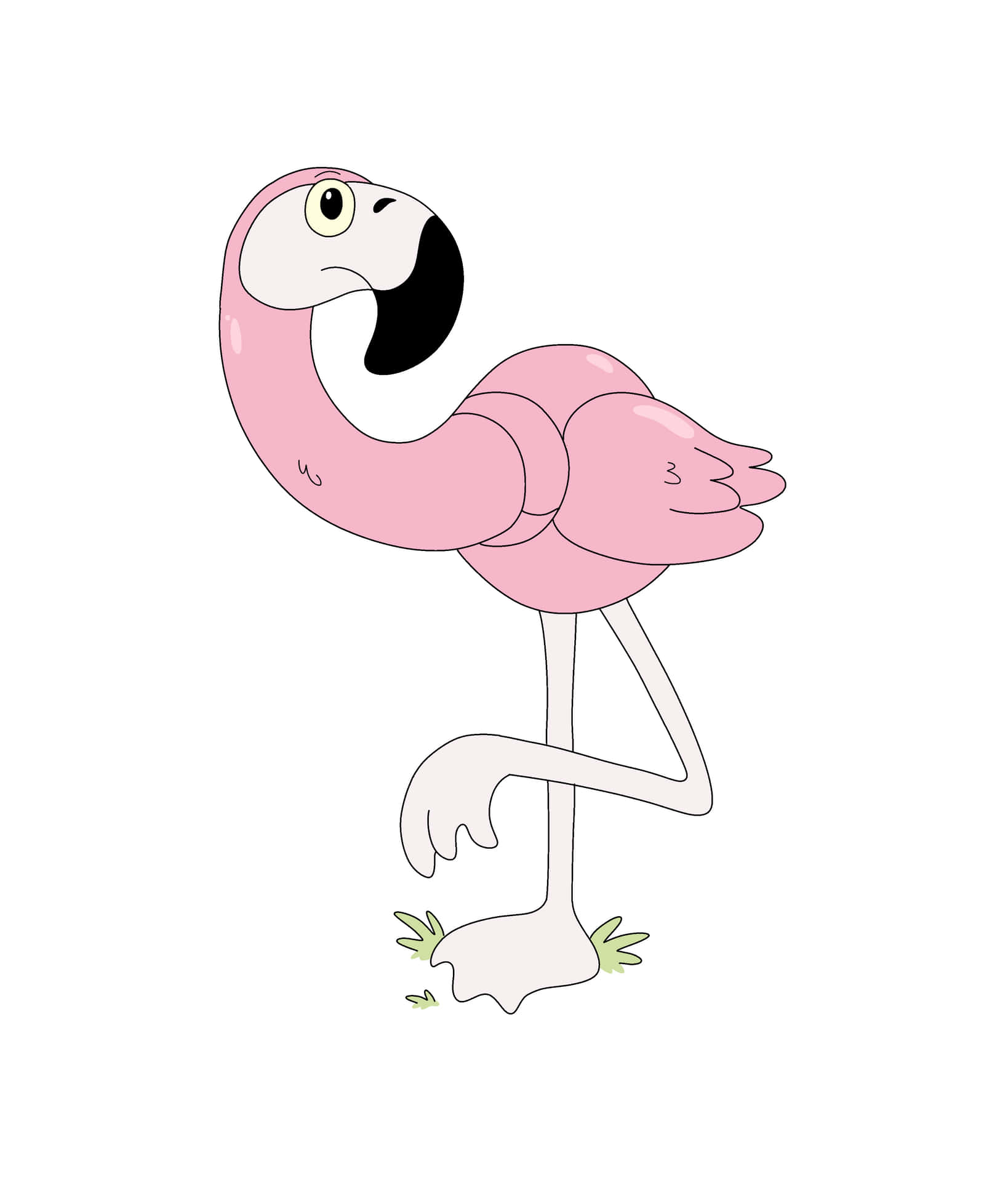 Elegant Flamigo In Natural Surroundings Background