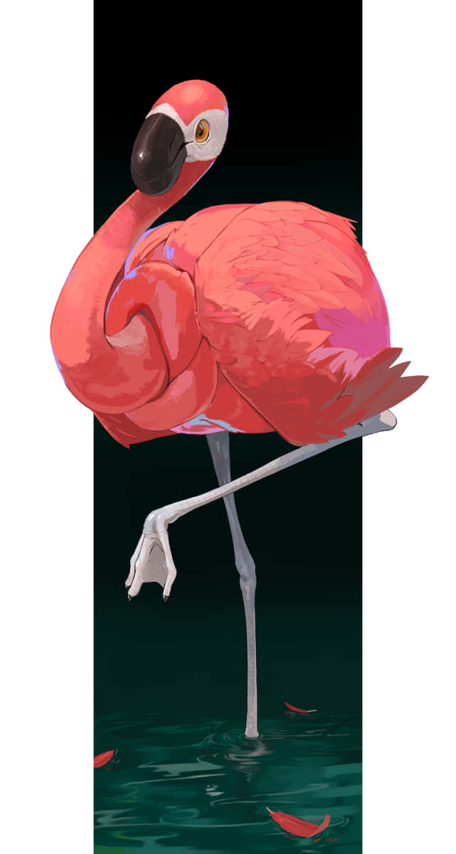 Elegant Flamingo Standing One Leg Background