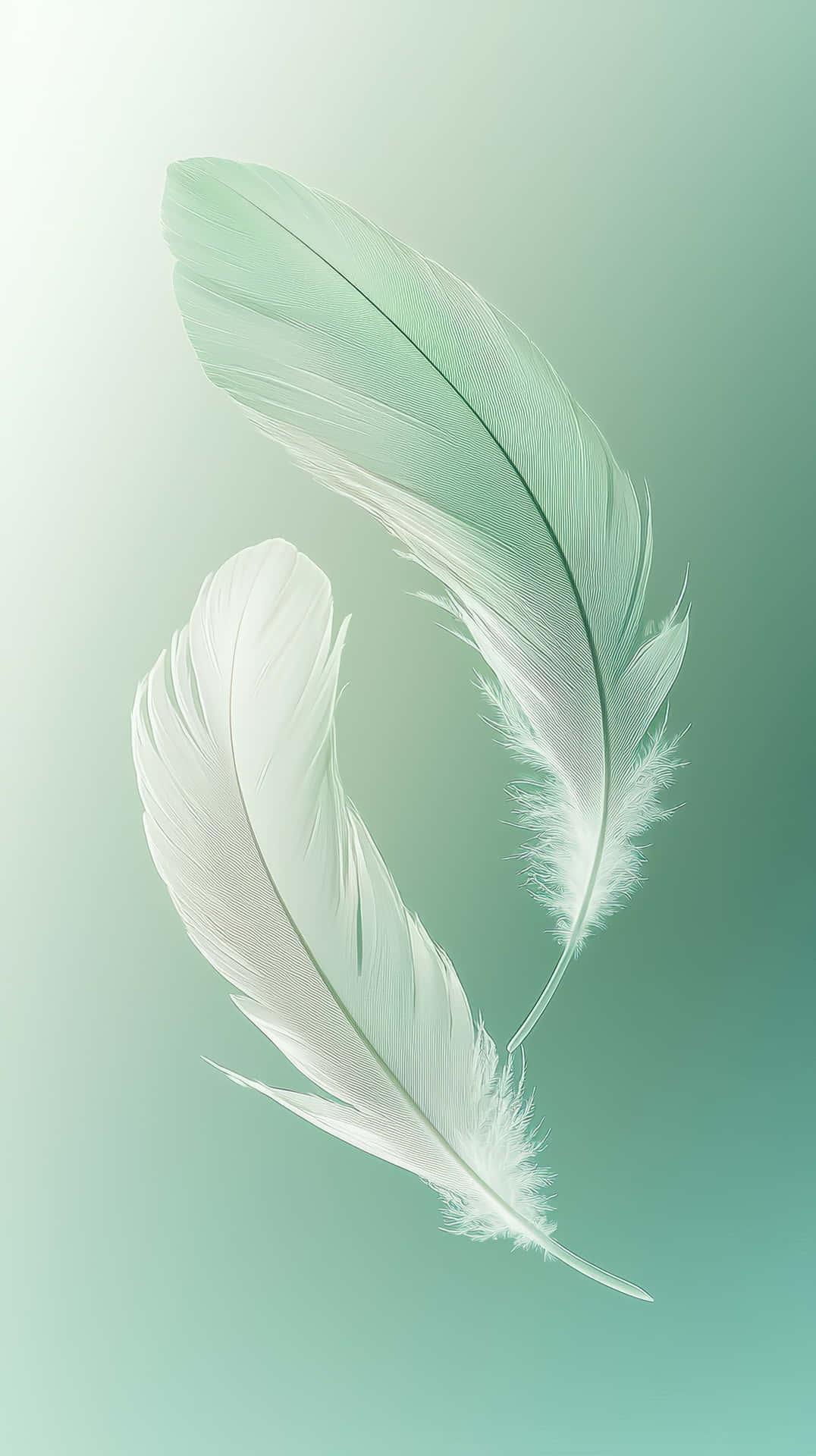 Elegant Floating Feathers On Soft Green Background Background