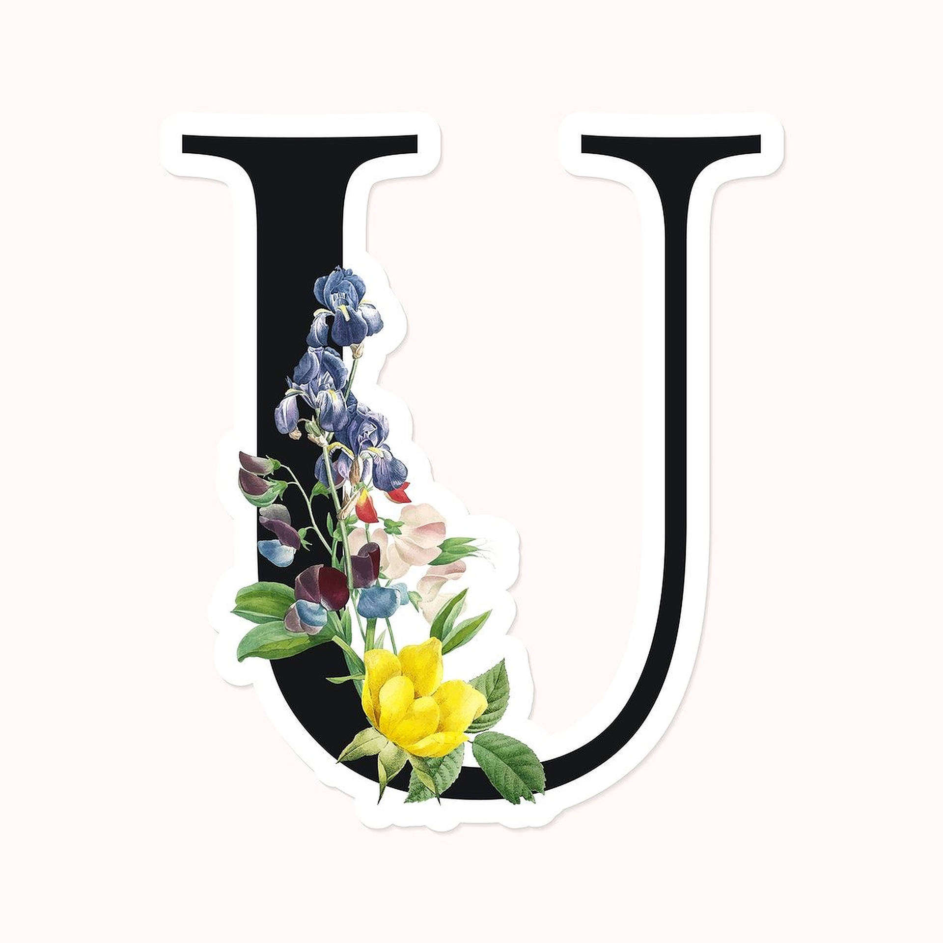 Elegant Floral-designed Letter U Background