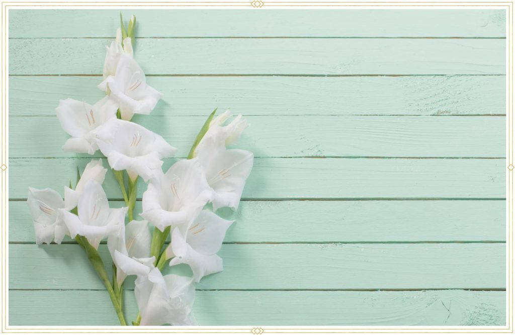 Elegant Gladiolus Flowers Background