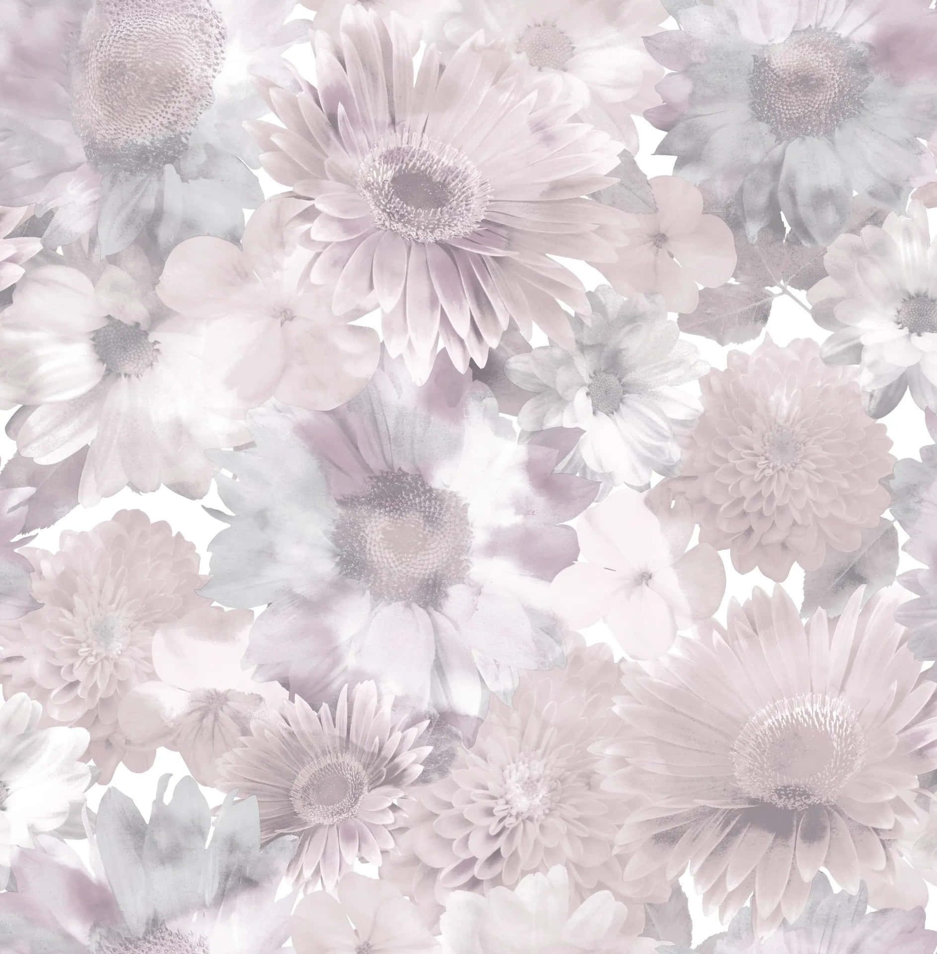 Elegant Gray And Pink Abstract Design Background