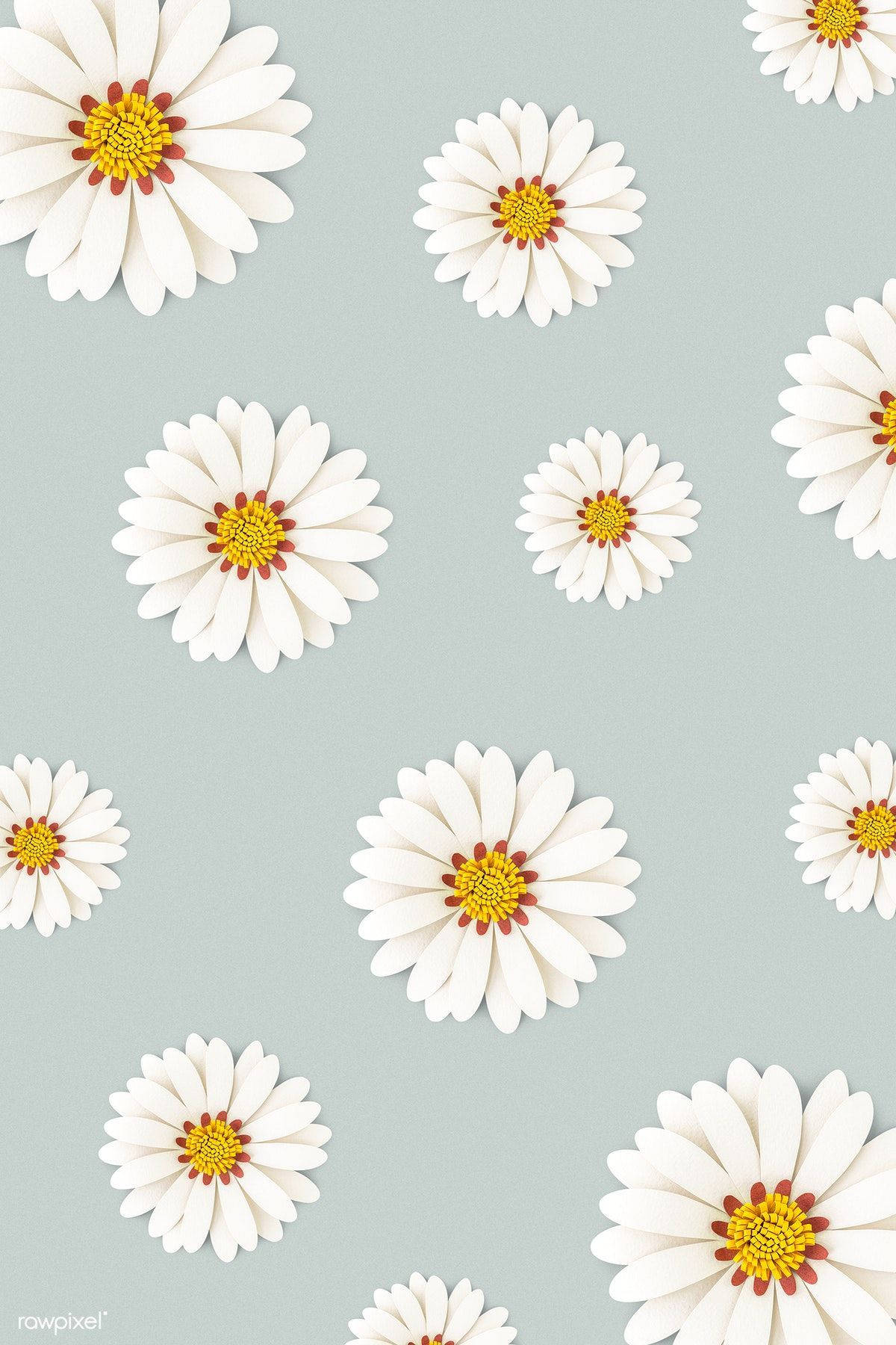 Elegant Gray Daisy Wallpaper For Smartphone Background