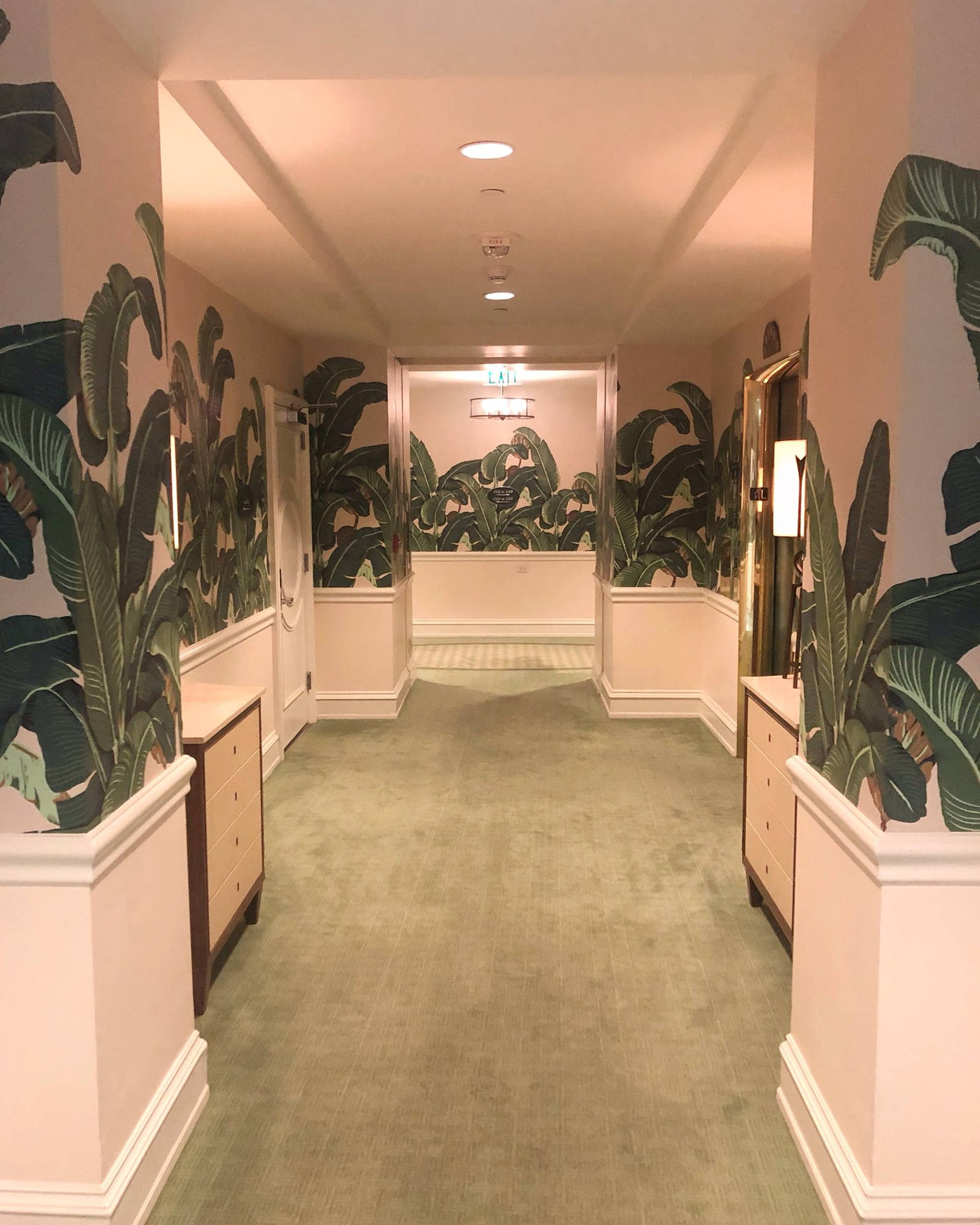 Elegant Hallway In The Prestigious Beverly Hills Hotel Background