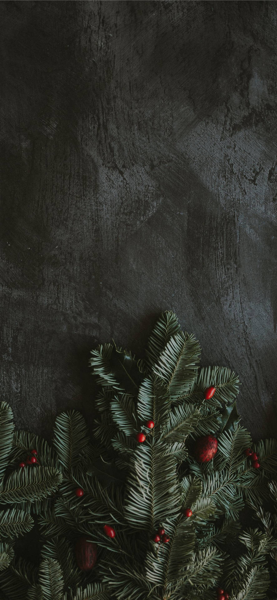 Elegant Holly Berries On A Dark Gray Background Background