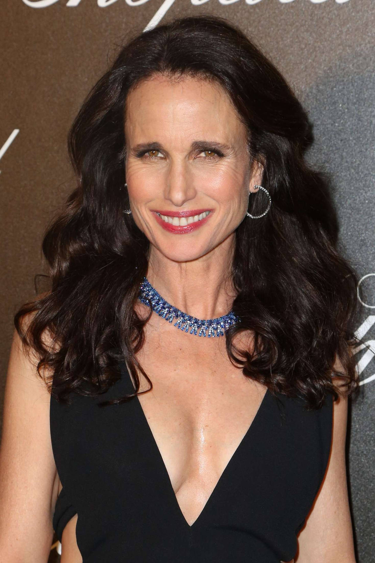 Elegant Hollywood Star, Andie Macdowell At An Event. Background