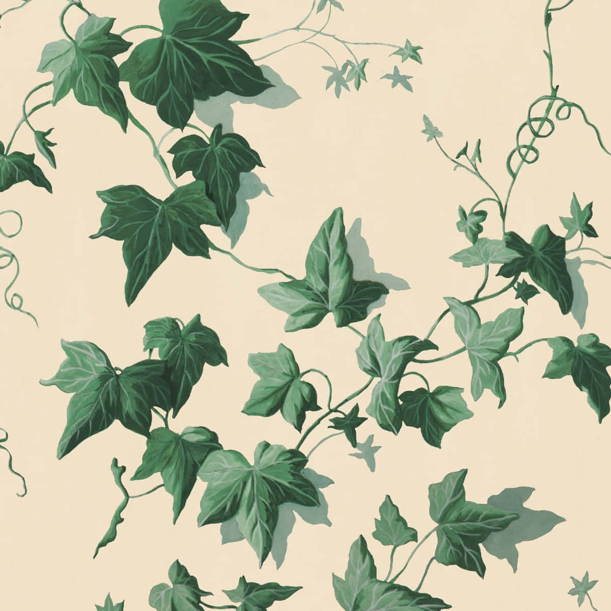 Elegant Ivy Pattern Background