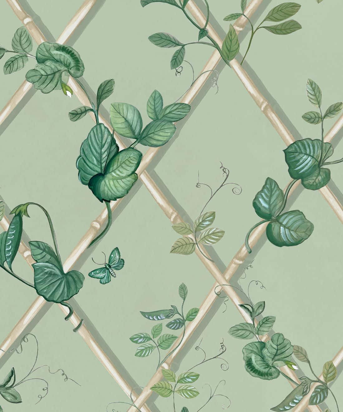 Elegant Ivy Pattern Wallpaper Background