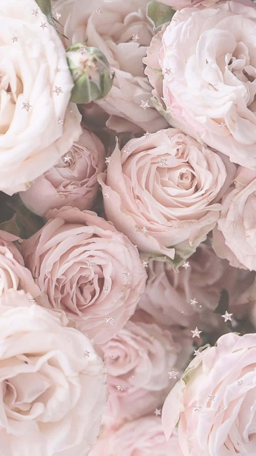 Elegant Light Pink Floral Iphone Wallpaper Background