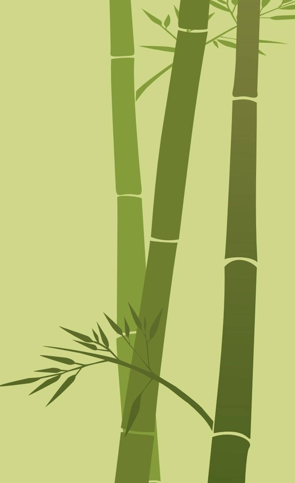 Elegant Minimalist Bamboo Art On Iphone