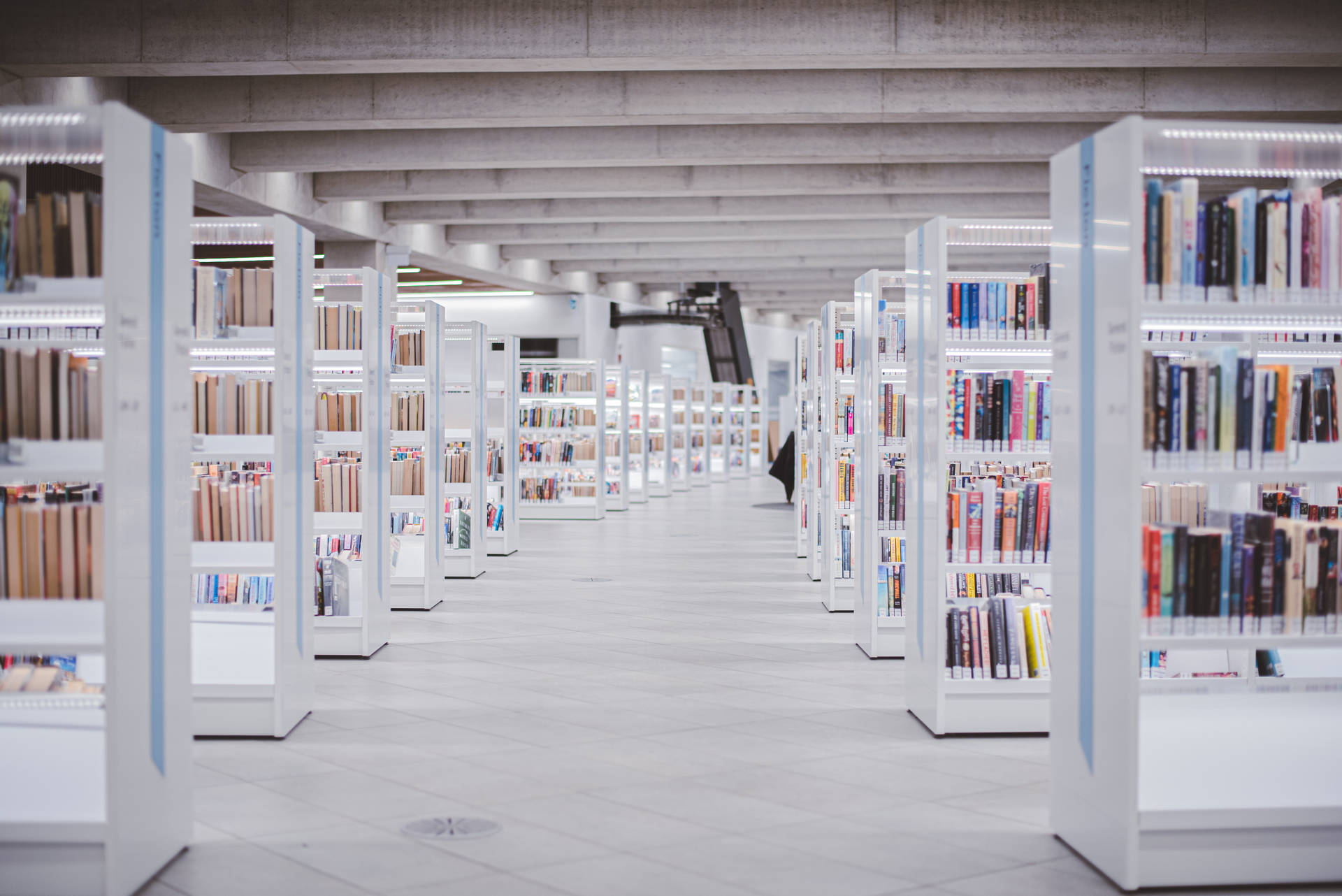 Elegant Minimalist Library