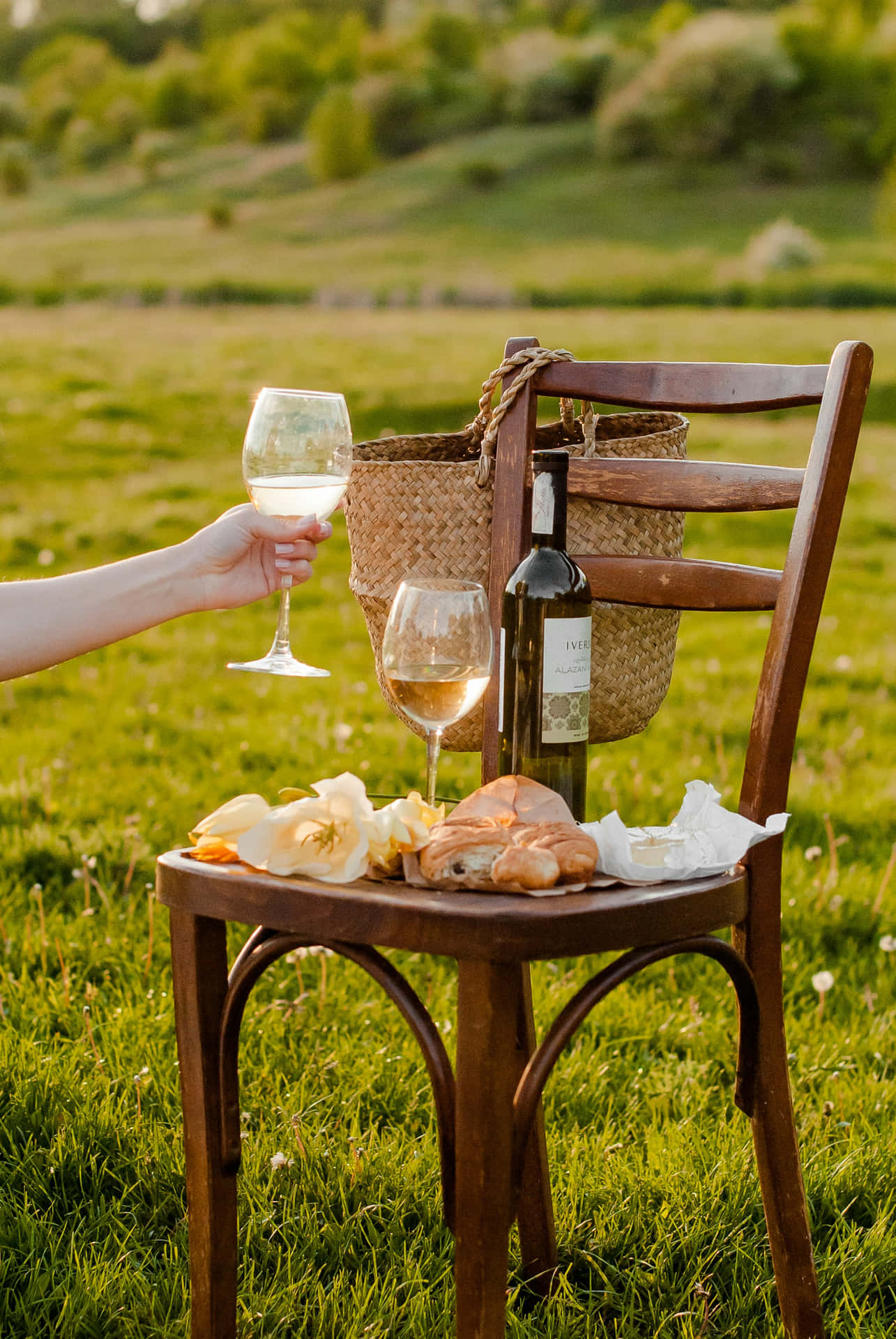 Elegant Outdoor Picnic Setup