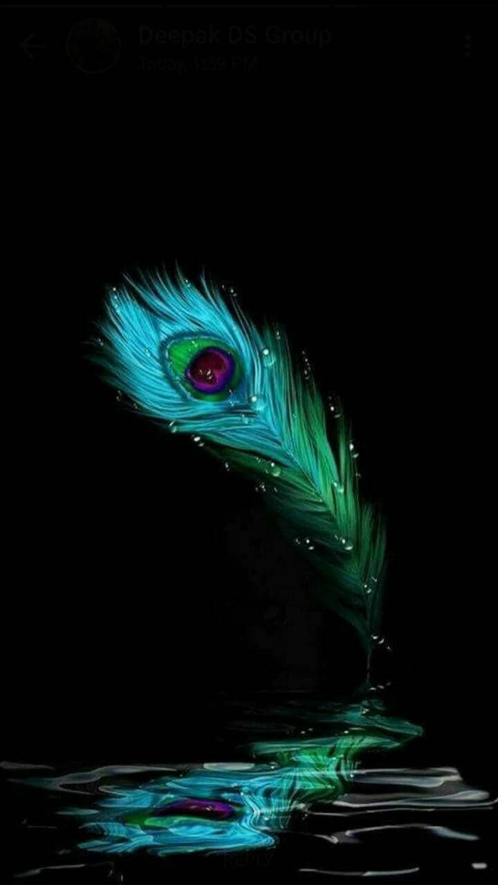 Elegant Peacock Feather Over Dark Background Background