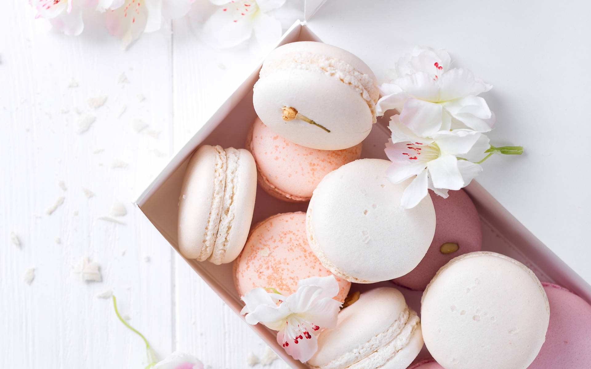 Elegant Pink And White Macaroons