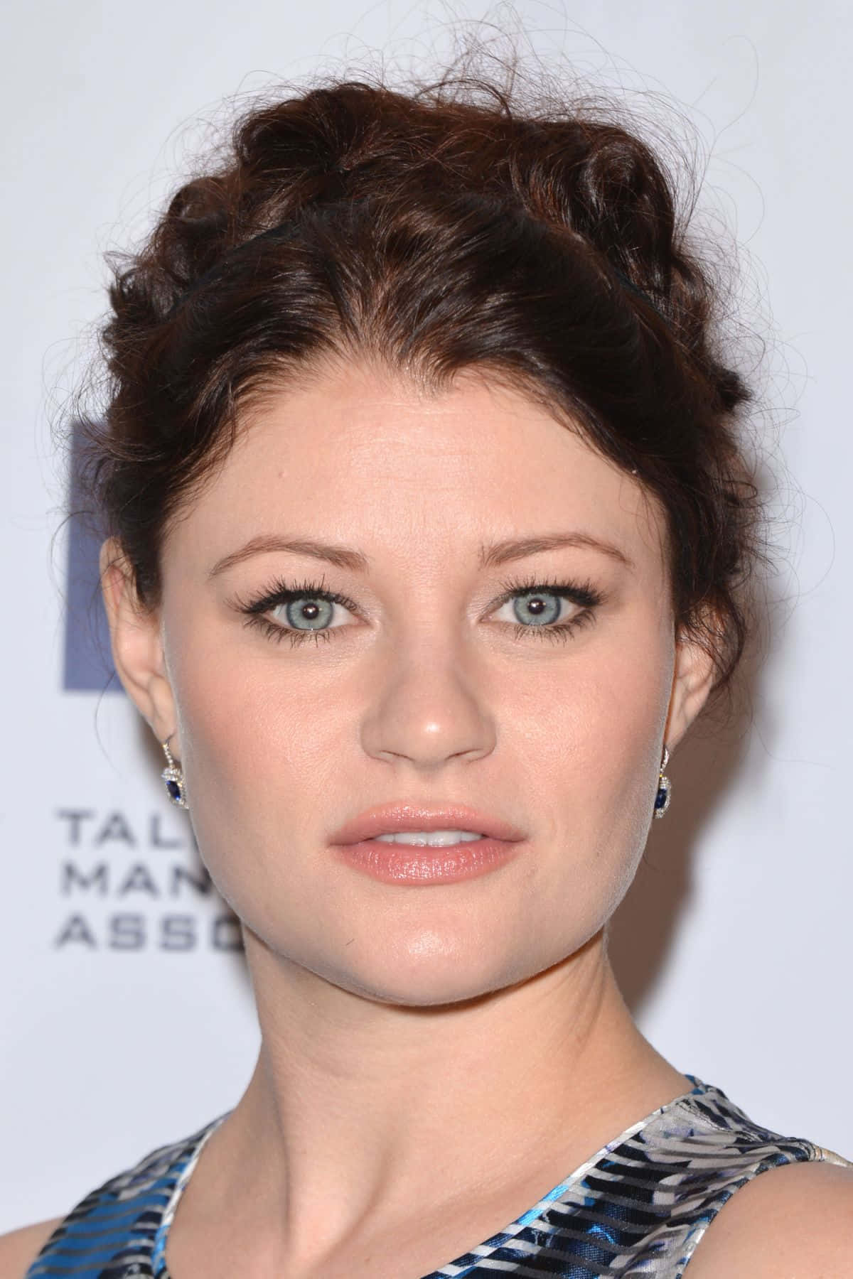 Elegant Portrait Emilie De Ravin