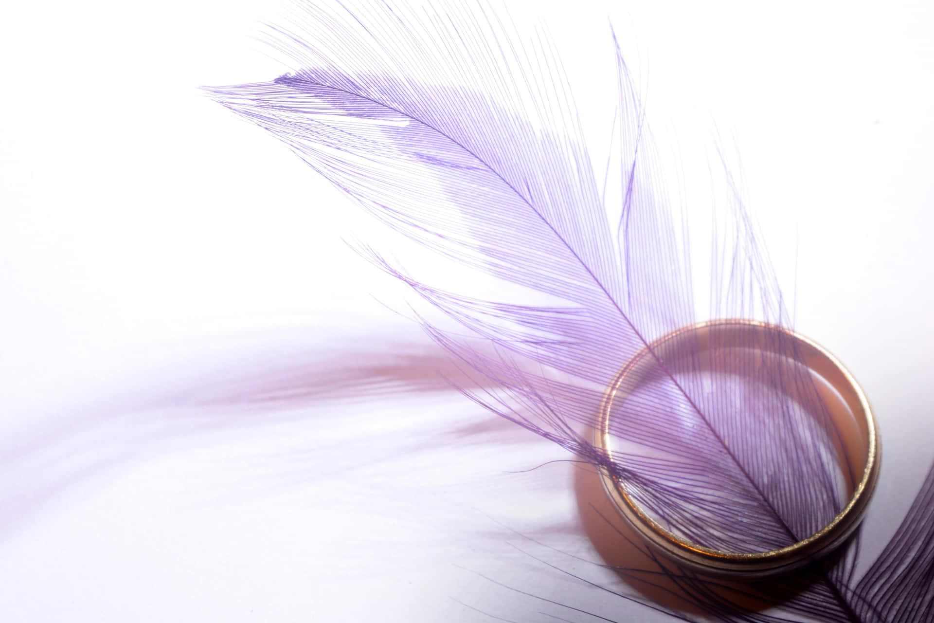 Elegant Purple Featherand Ring Background