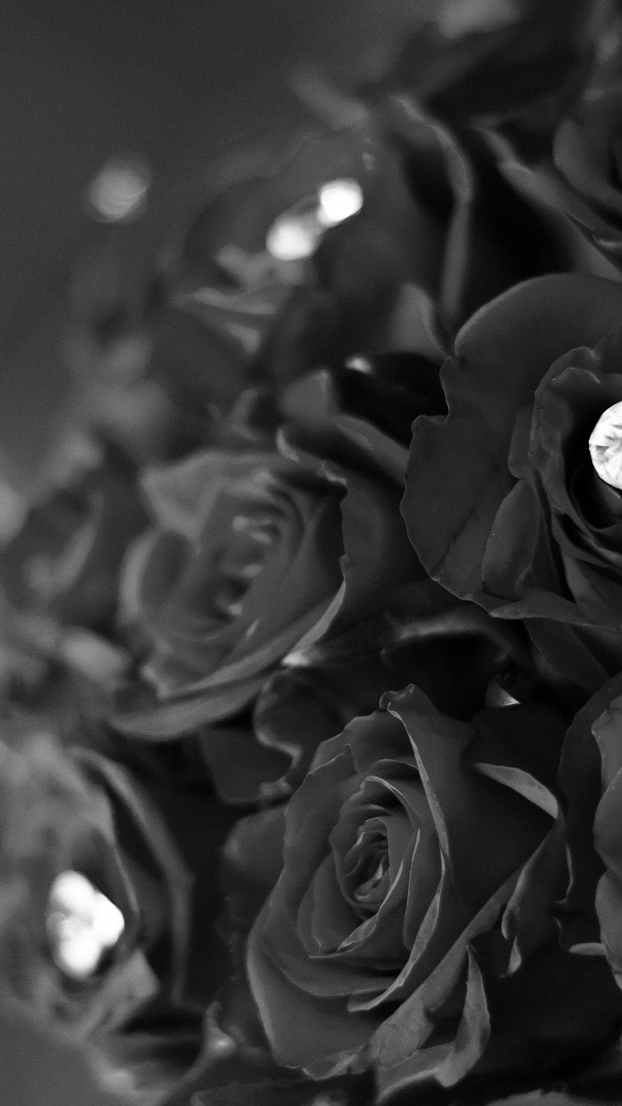 Elegant Rare Black Rose Iphone