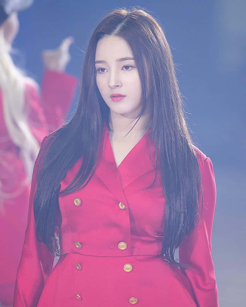 Elegant Red Dress Performance