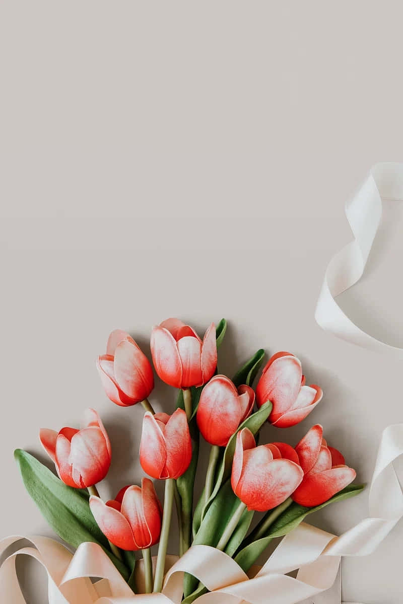 Elegant Red Tulips Ribbon Accent Background