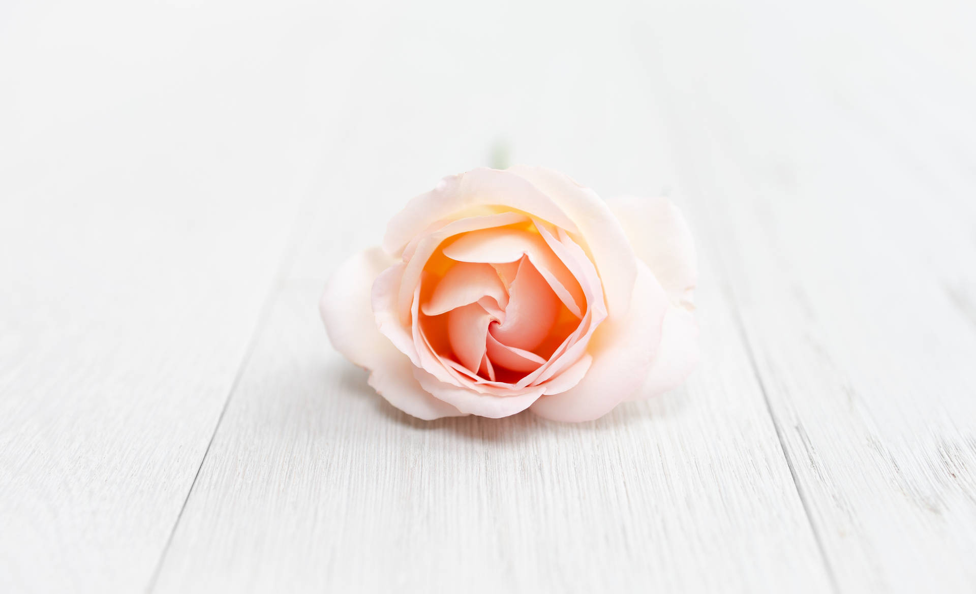 Elegant Rose Gold Iphone Sitting On A Marble Surface Background